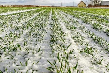 هشدار سرمای شدید و غیرمتعارف در ۲۷ استان
